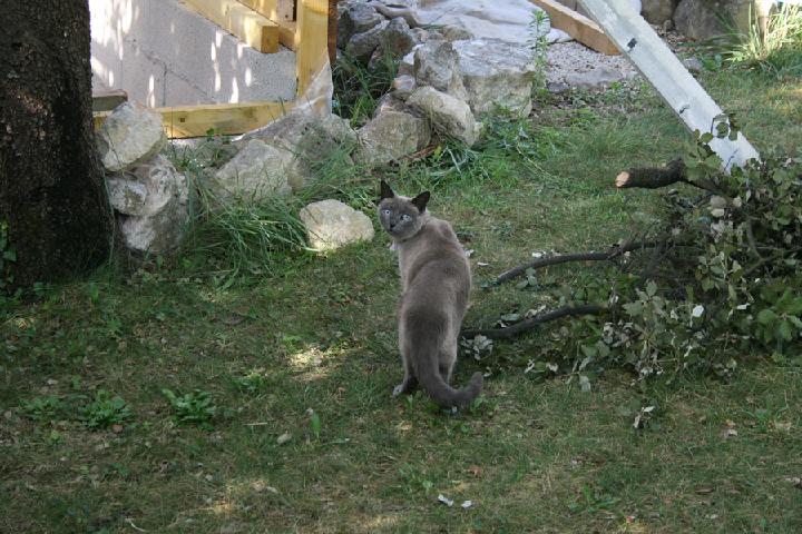2013-08 001.JPG